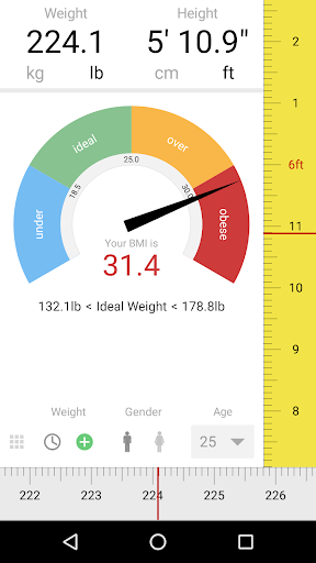 Screenshot of BMI Calculator