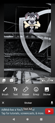 Botafogo Papel de Parede