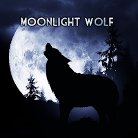 Moonlight Wolf Wallpaper