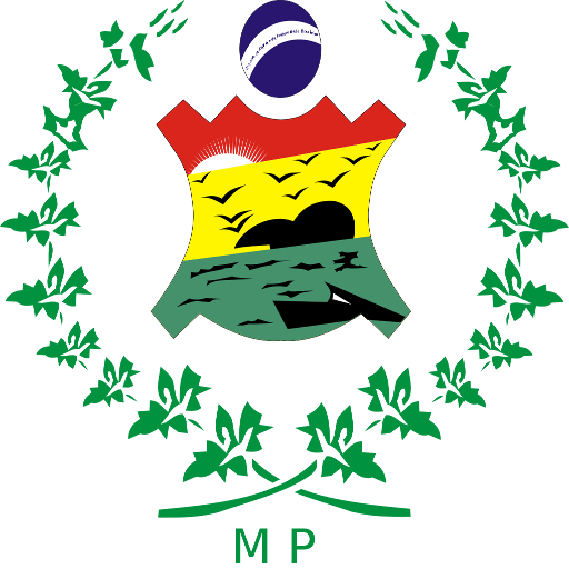 Petrolina Iluminada logo