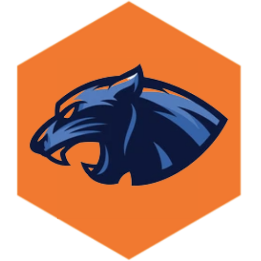 Panthera Crypto Wallet Download on Windows