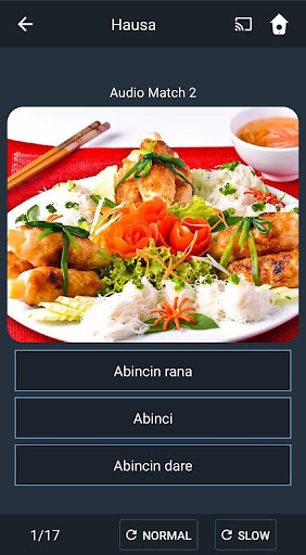 Screenshot of Learn Hausa. Speak Hausa. Stud