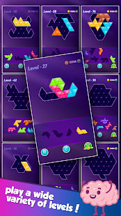 Block! Triangle Puzzle: Tangram 21.0914.19 APK screenshots 22