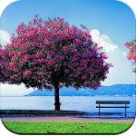 Cover Image of Download Spring wallpaper  APK