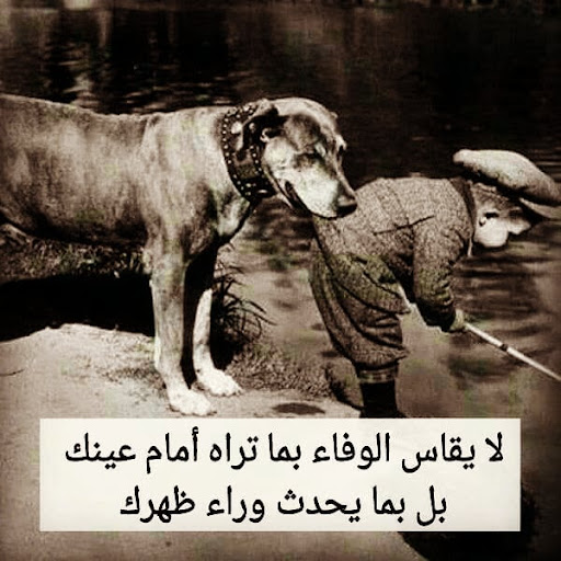 كلام مشاعر و احاسيس 2022