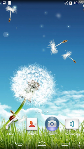 Dandelion Live Wallpaper Screen 3