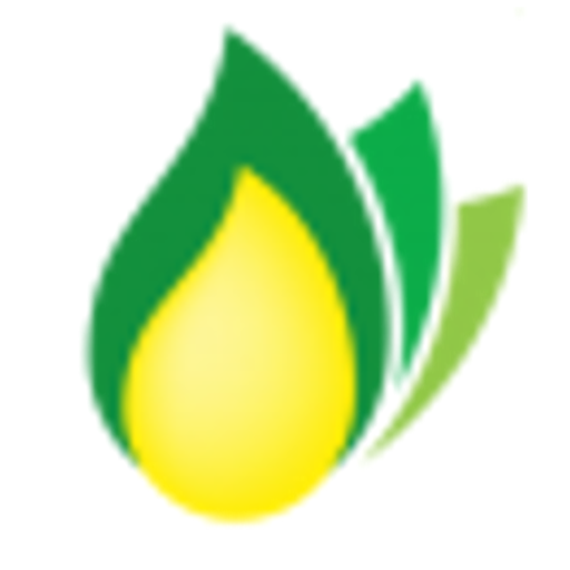 WES Gas logo