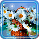 Daisy and Camomiles LWP icon