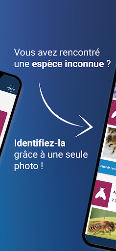 Wikipest Screen 2