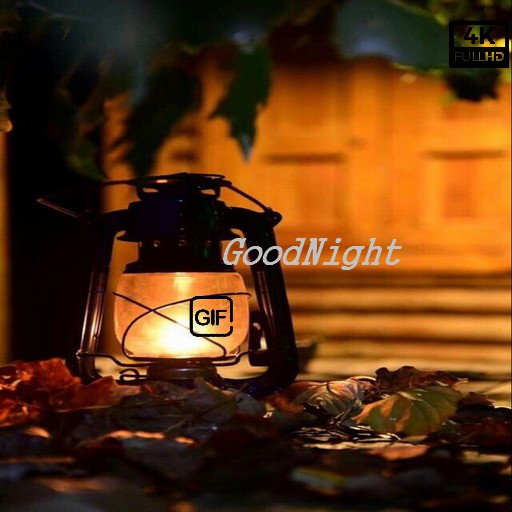 Good Night GIFs Images HD 2023 Download on Windows