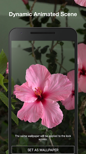 Beautiful Flowers Pro Screen 2