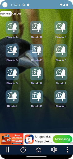 Canto Para Esquentar Bicudo Screen 2