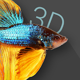Betta Fish 3D -  3D Live Wallpaper icon