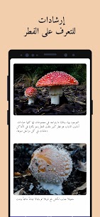 تحميل Picture Mushroom لتعرف على أنواع الفطر مهكر للأندرويد 4