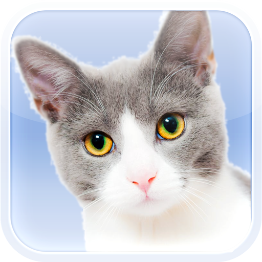 Cats and Kittens Sounds logo