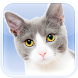 Cats and Kittens Sounds - Androidアプリ