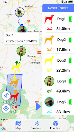 TR-dog Screen 2