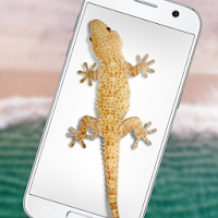 Ящерица в Телефоне Шутка - Lizard