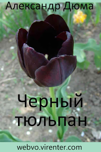 Черный тюльпан, Александр Дюма Screenshot 1 - AppWisp.com