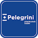 Catálogo Pelegrini