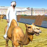 Camel Race Dubai Camel Simulator icon