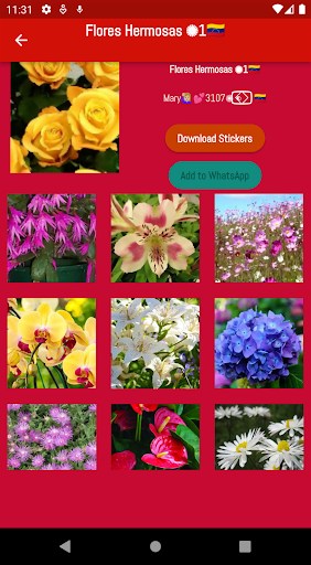 Flores Amarillas Stickers