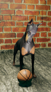Talking Doberman - Virtual Pet 2.0 APK + Mod (Free purchase) for Android