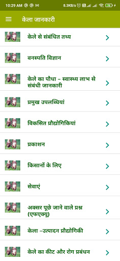 Banana Info Hindi Screen 3