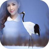Red Crowned Crane Photo Frame icon