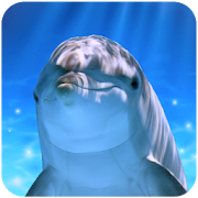 Top 27 Simulation Apps Like Tap Dolphin -3Dsimulation game- - Best Alternatives