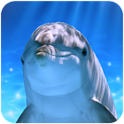 Tap Dolphin -3Dsimulation game 1.0.8