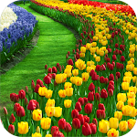 Cover Image of Download Garden Wallpapers 4k 1.01 APK