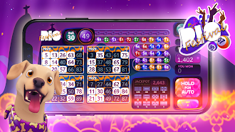 Game screenshot Bingo Rex hack