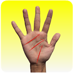 Cover Image of Descargar How to read palm lines  APK