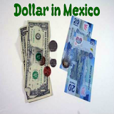 Dollar in Mexico icon
