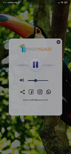 Android application Radio Yguazu screenshort