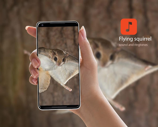 Flying squirrel sounds Screenshot 1 - AppWisp.com