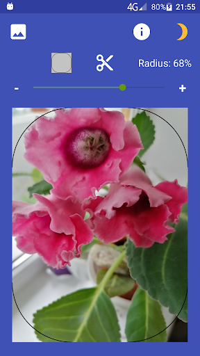 Screenshot of Rounding picture corners