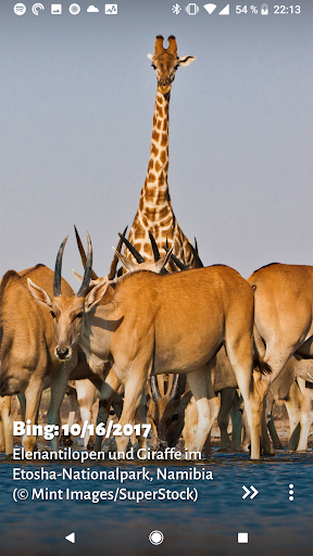 Muzei - Bing Image of the Day Screen 3