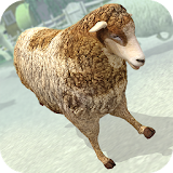 Sheep Racing Adventure Game 3D icon