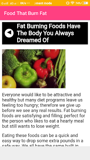 Food That Burn Fat Screen 3