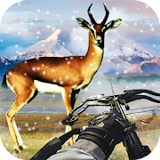 Bow Deer Hunting - USA Wild Crossbow Animal Hunter