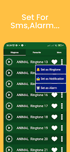 Animals sound ringtone