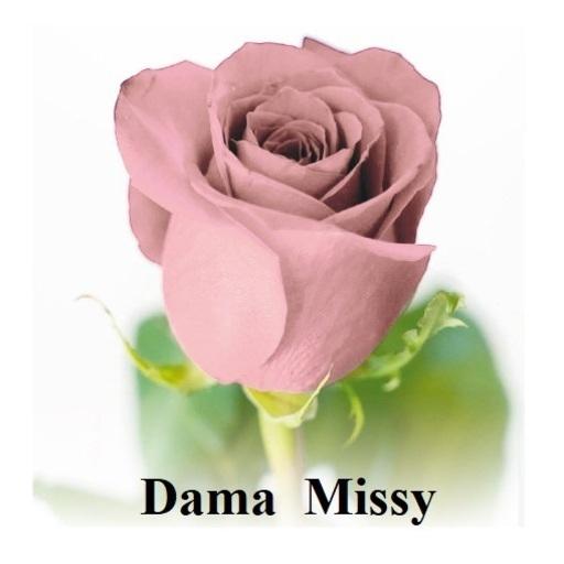 Dama Missy logo