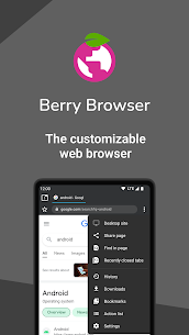 Berry Browser MOD APK (قفل نشده، بدون تبلیغات) 1