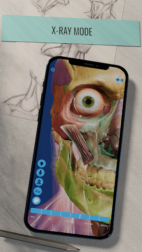 Ecorche: Portrait Anatomy Screen 3