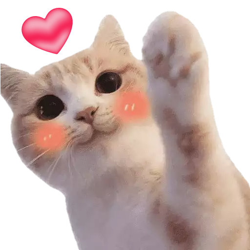 Cute Cat Stickers Download on Windows