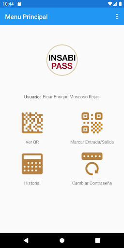 INSABI PASS Screen 2