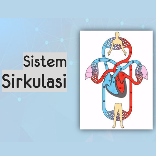 Sistem Sirkulasi