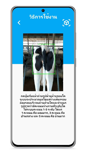 Cow-Scoring Screen 2